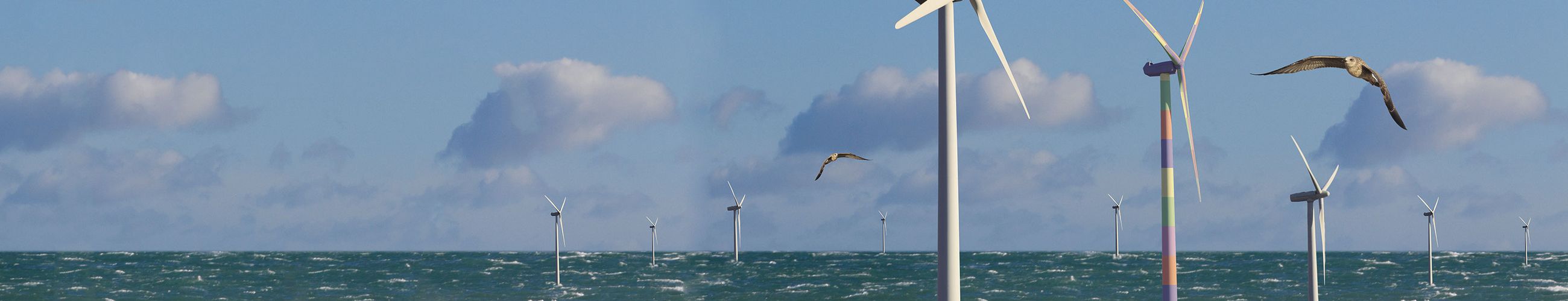 Das Bild zeigt eine Windkraftanlage auf dem Meer, zwei Vögel fligen zwischen den Windrädern.