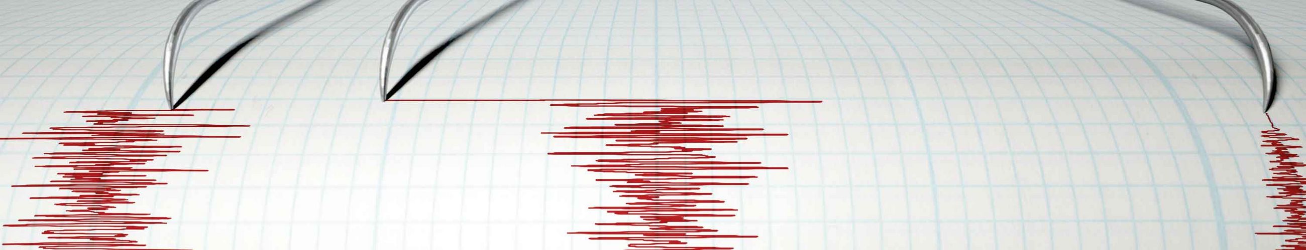 Die wellenförmigen Aufzeichnungen eines Seismographen sind auf einem Blatt Papier zu sehen.