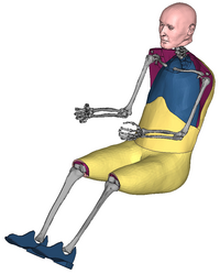 CASIMIR/Automotive Virtuelles Menschmodell