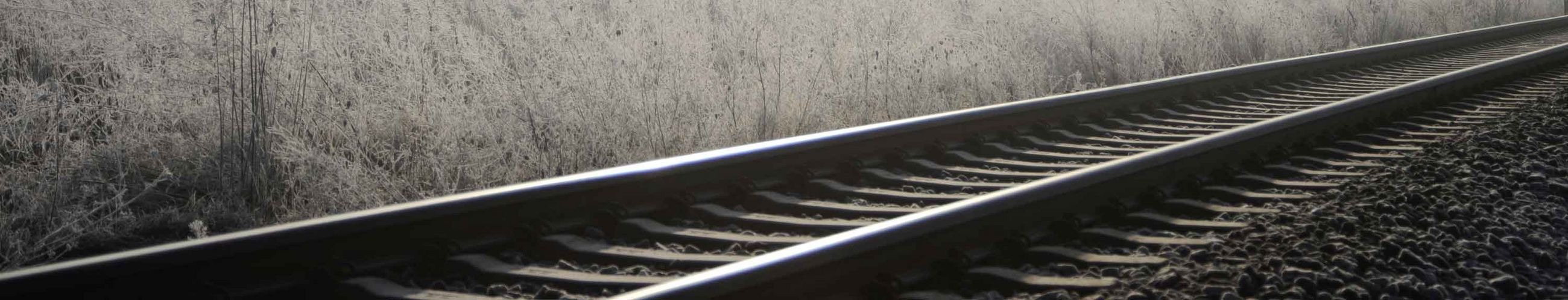 Eisenbahnschienen ziehen sich quer durch das Bild, links von ihnen wachsen Gräser und rechts von ihnen liegt Schotter.